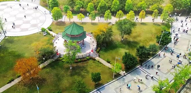 深度分析:成都理工大学王牌专业(参考20